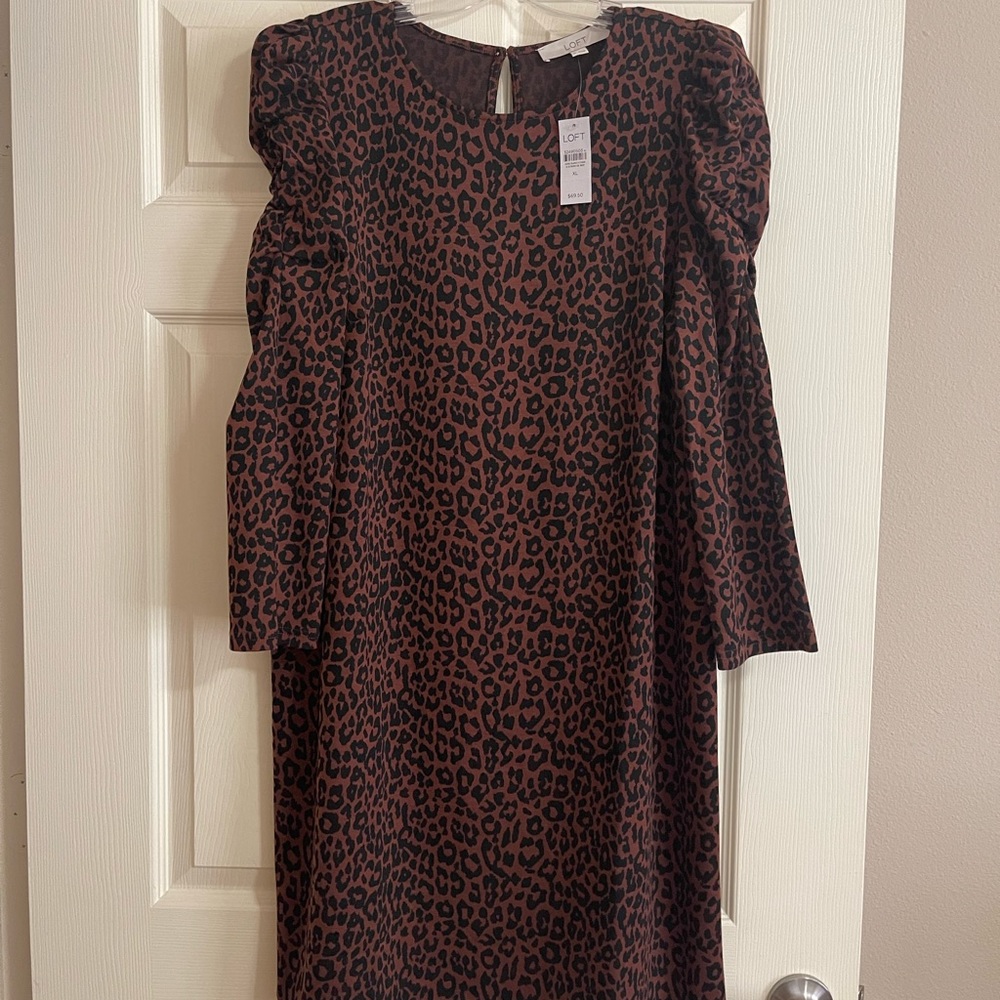 Brand new XL dress from Loft.
